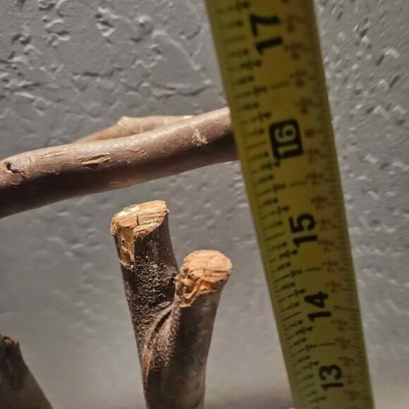 Parrot Perch Bird Stand 13"x13"x16" - Picture 4 of 5